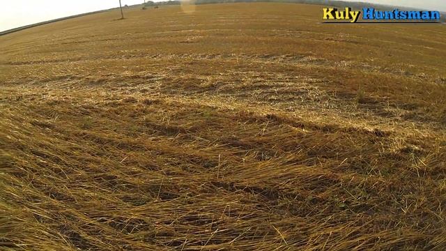 Полювання на Дикого Голуба Підготовка до полювання смотреть онлайн
