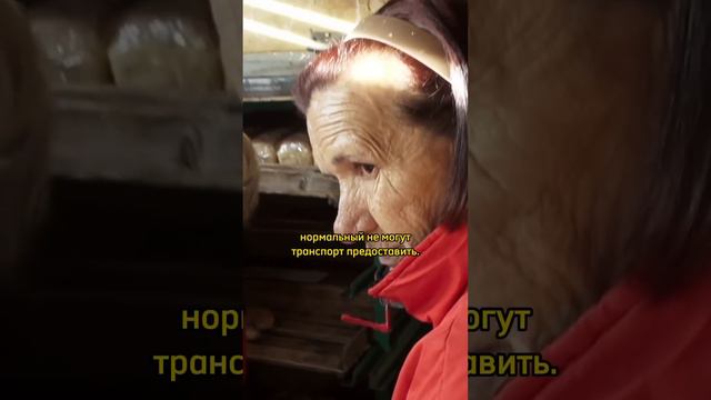 Краснодарская узкоколейка. Завоз хлеба в отдаленные поселки #россия #узкоколейка #краснодарскийкрай смотреть онлайн