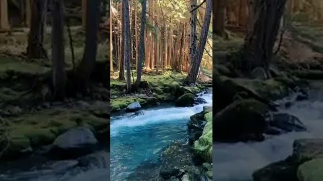 ? 13 МАРТА ШАНИ АМАВАСЬЯ - НОВОЛУНИЯ САТУРНА смотреть онлайн