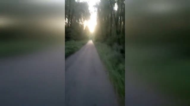 Elk Island Paradise. Bike Speedrun. Лосиный Остров - "Зелёная Жемчужина". Прохождение на велосипеде смотреть онлайн