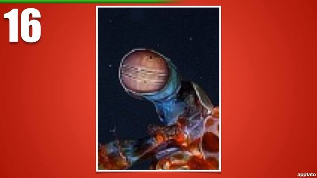 Guess the Animal Quiz #3 | Name all the Animals by Closeup Guessing Game | Family Trivia Game Night смотреть онлайн