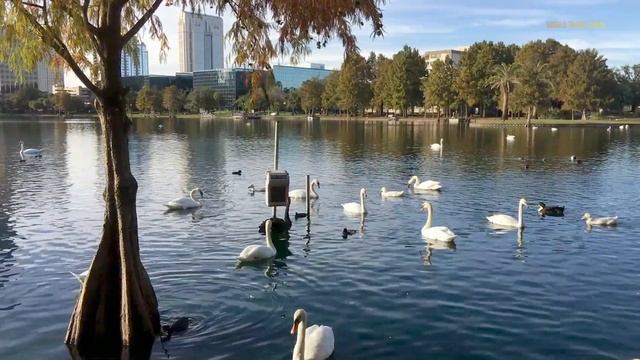 ORLANDO City Guide | Attractions & Theme Parks | Florida | Travel Guide