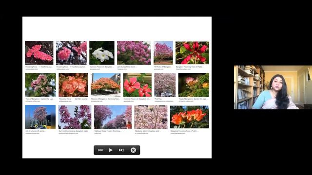 Human Nature: California Rare Plants with Barnali Ghosh and Amy Patten смотреть онлайн
