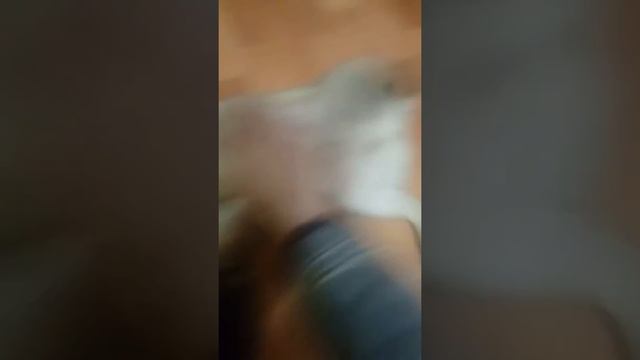 Дай лапу смотреть онлайн