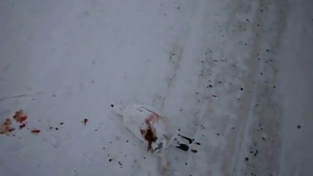 охота на куропаток кто как может тот так и охотится смотреть онлайн