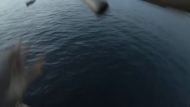 РЫБАЛКА на МОРЕ! СТАВРИДА! ЛОВИМ СТАВРИДУ с БЕРЕГА! смотреть онлайн