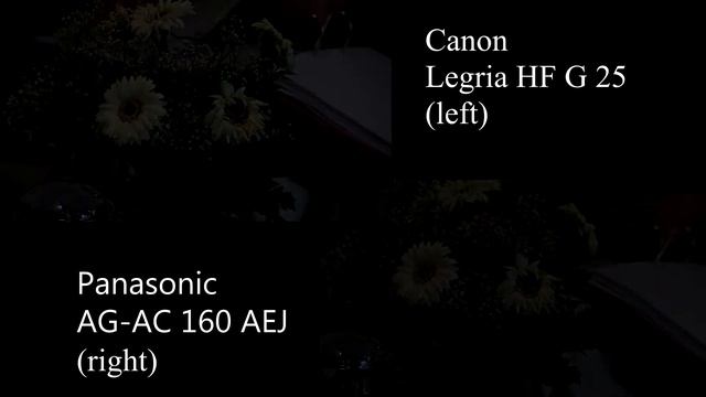 Canon Legria HF G 25 VS Panasonic AG-AC 160 AEJ FULL HD смотреть онлайн
