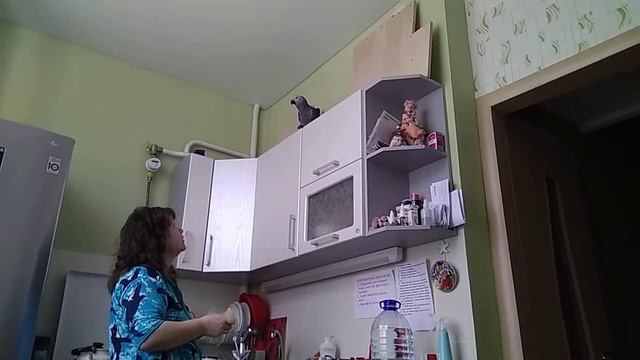 Жако Гоша: Как скулят собаки? смотреть онлайн