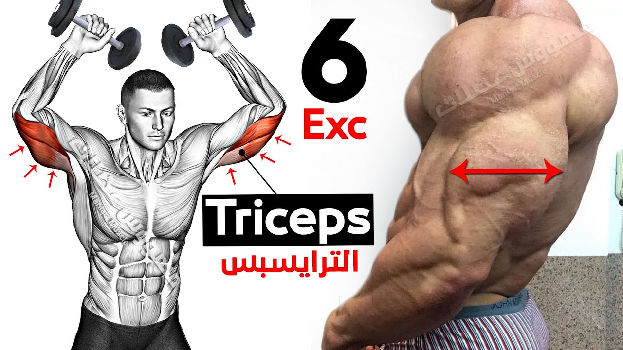 Как быстро накачать трицепс (6 эффективных упражнений) смотреть онлайн