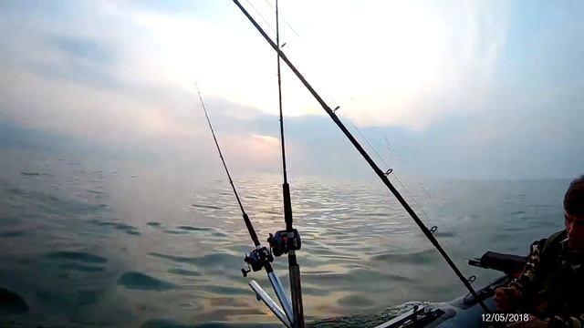 Троллинг симы подготовка! смотреть онлайн