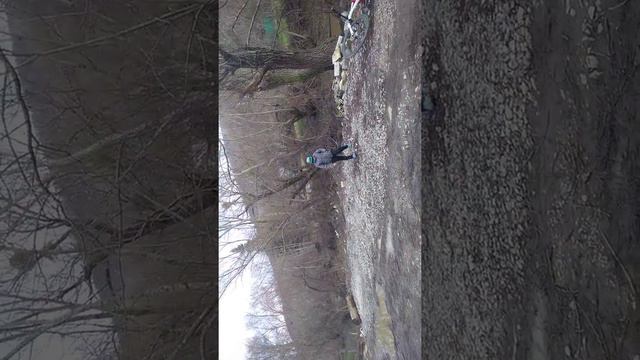 1 декабря 2021 г.