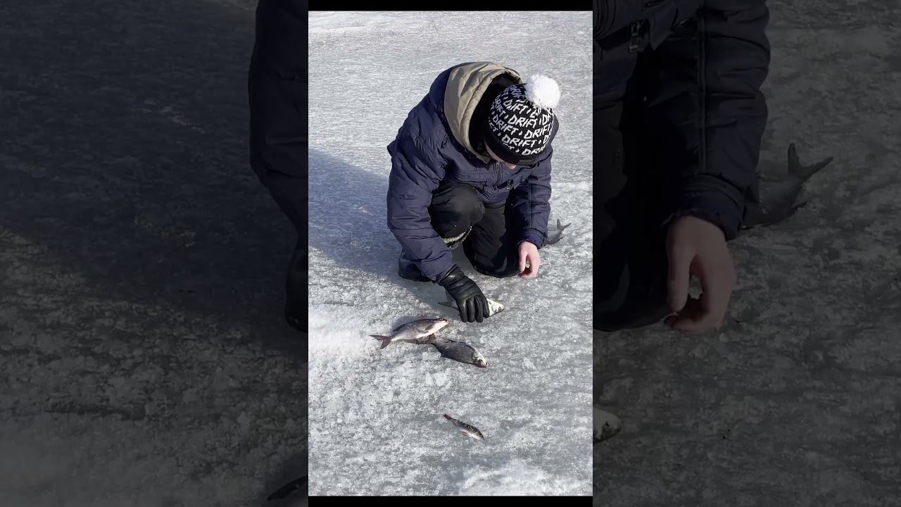 Первый раз на рыбалке. Что делать когда боишься рыбу #рыбалка #палатка #снежинск #fishing #север смотреть онлайн