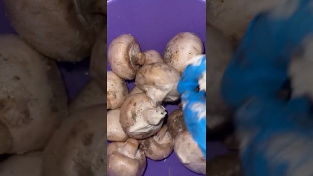 Грибы в духовке смотреть онлайн