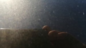 поставил уплотнитель лобового стекла гранта фл