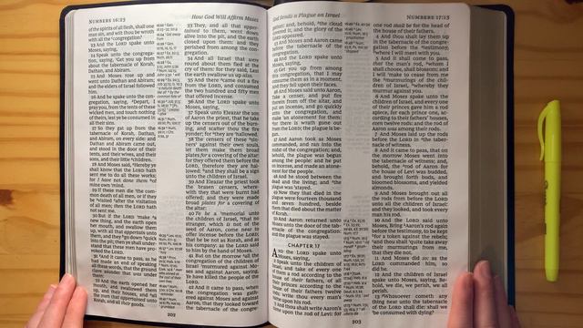 Bible Together - Day 61 - Numbers 16-17 смотреть онлайн