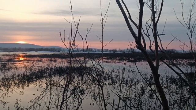 утренняя зорька май 2023 смотреть онлайн