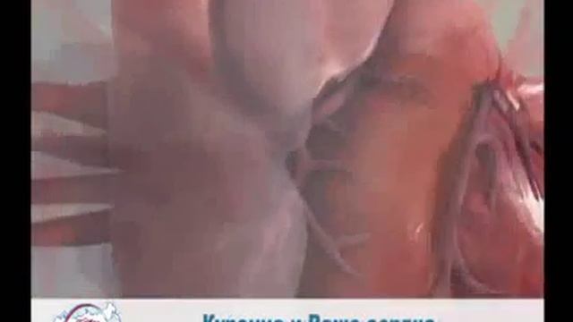 № 31 Телепередача Анатомия затяжки "Бросить курить" смотреть онлайн