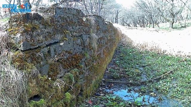 Урочище Павлова дача смотреть онлайн