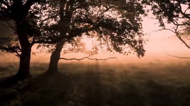you're lost in a forest for 10 hours, 38 minutes and 20 seconds смотреть онлайн