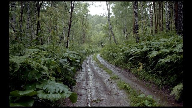 Делаю фотографии на пленочный фотоаппарат смотреть онлайн