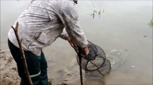 Рыболовный пластилин для ловли карася, карпа.