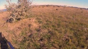 Охота на коростеля и вальдшнепа октябрь 2018