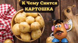К чему снится КАРТОШКА или видеть во сне КАРТОШКУ | Толкование снов | Сонник Sk1.online
