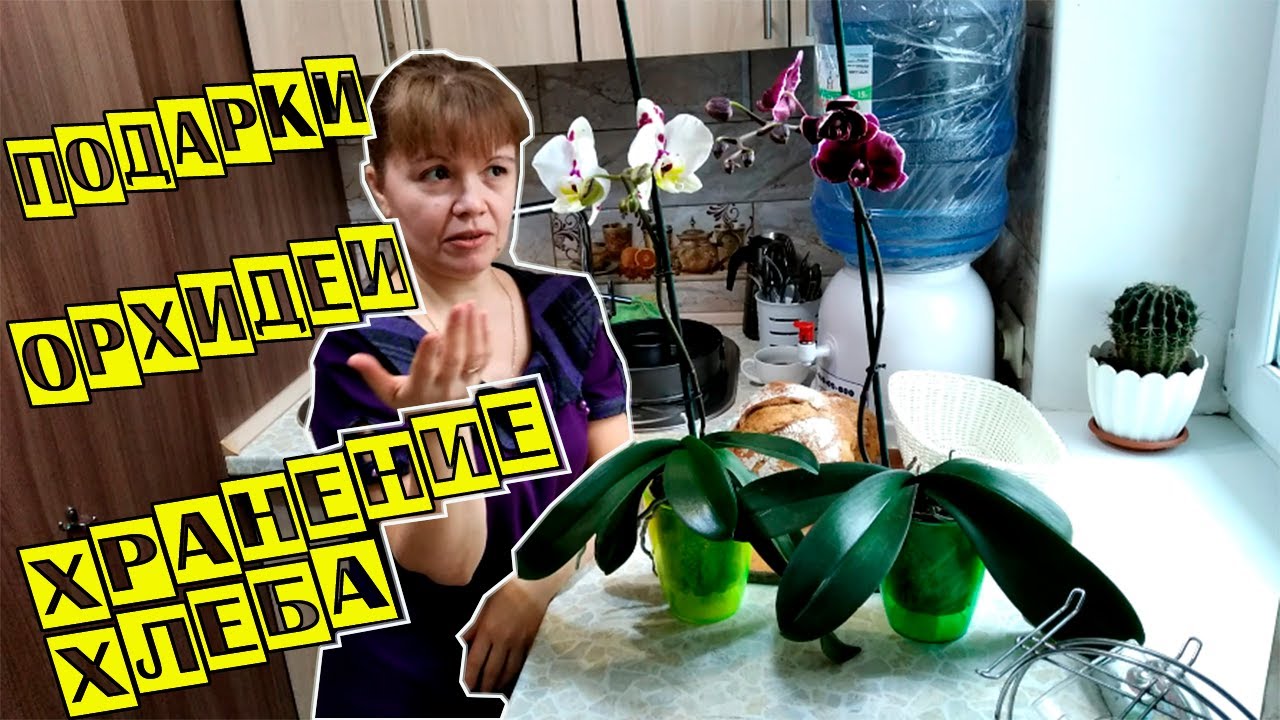 Подарки, орхидеи, хранение хлеба