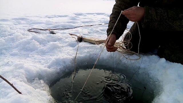 Окуня атаковали перемет смотреть онлайн