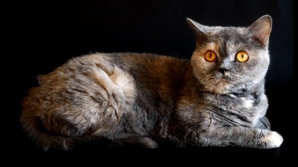 [Таймкоды] 720Плейлист2.mp4