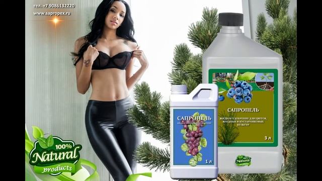 Экологически чистые органические удобрения из сапропеля смотреть онлайн