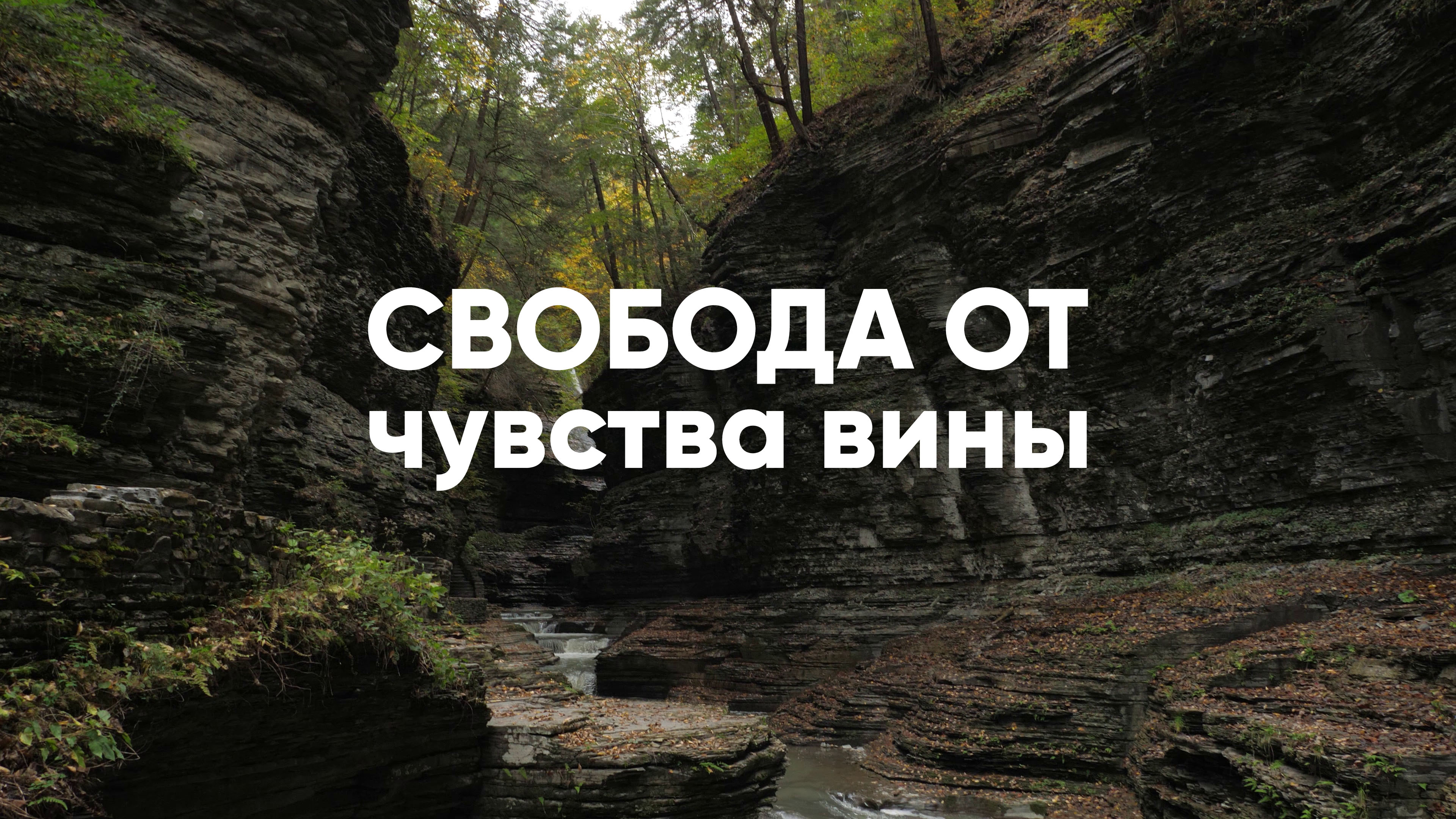 Свобода от чувства вины смотреть онлайн