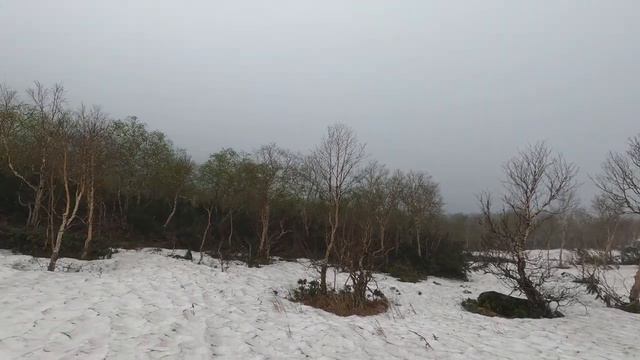 Салистая-Останцовая 2021 июнь смотреть онлайн