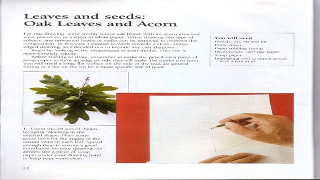 Drawing an Ancient Bristlecone Pine: Step-by-Step Wilderness Art смотреть онлайн