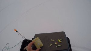 На что я ловлю берша, судака? зимой!