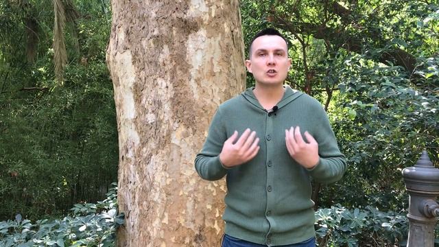 Как перестать обижаться. Как выйти из обид. Обиды, как возможность для роста характера и души. смотреть онлайн