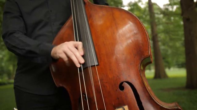 Steiling Strings - You Are The Best Thing смотреть онлайн