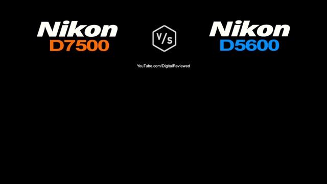 Nikon D7500 Vs Nikon D5600
