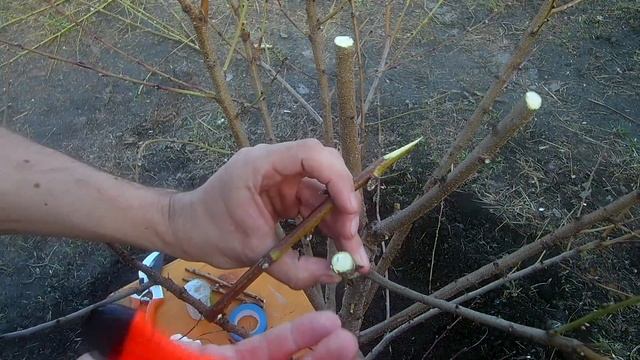 Стройка Вдохновение