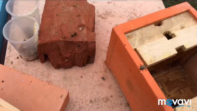 Пчёлы в декабре. Планы на будущий год. смотреть онлайн