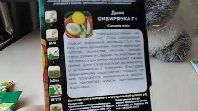 Не удержалась и снова купила семена смотреть онлайн