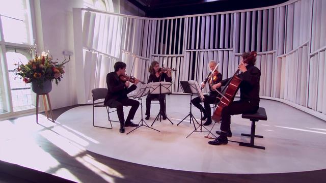 Het Kandinsky Kwartet in de Nationale Finale смотреть онлайн