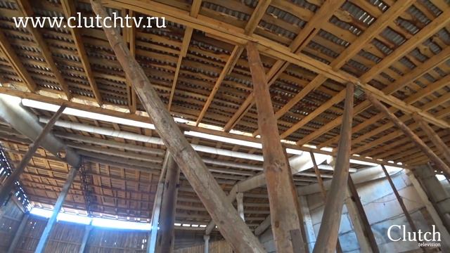 Лариса Брауз. Коровы доятся сами? Экскурсия на молочное производство. Кострома смотреть онлайн