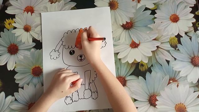 Рисунок пуделя - милашки смотреть онлайн