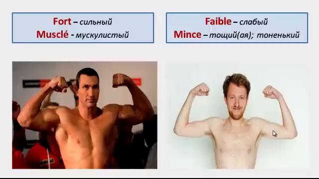 Уроки французского #33: Лексика! Описание внешности. L'apparence смотреть онлайн