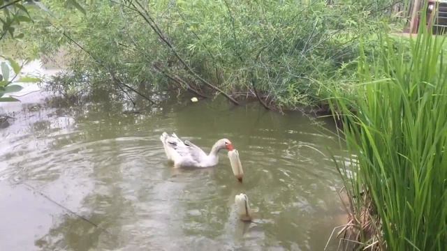 Рыбалочка!!! Время Пять. Ловлю Опять!!!👍👋🤣