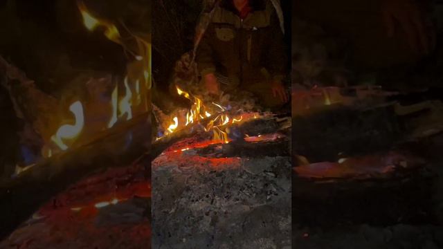 Дурой шулун, Алханай смотреть онлайн