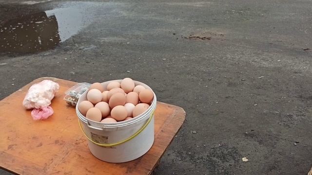куры несутся что из пушки !!! тухнет яйцо ,убираю курей !! смотреть онлайн