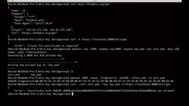 Mutual TLS with Tyk API Gateway смотреть онлайн