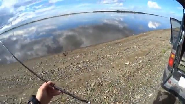 Рыбалка на протоке Амурская здесь рыбы нет или атака широкоротов смотреть онлайн